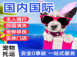 广元盘龙航空运输国际宠物托运 【国